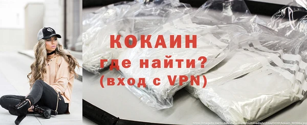 стаф Алексин