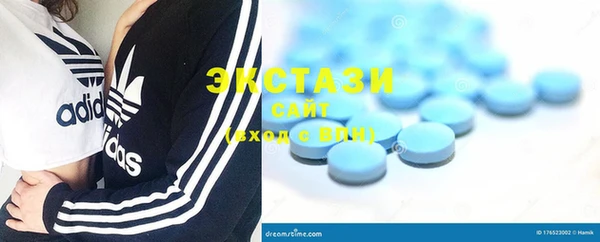 стаф Алексин