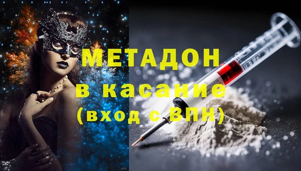 стаф Алексин
