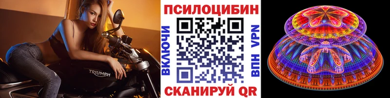 omg ТОР  Шадринск  Псилоцибиновые грибы Cubensis 